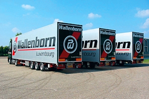WALLENBORN